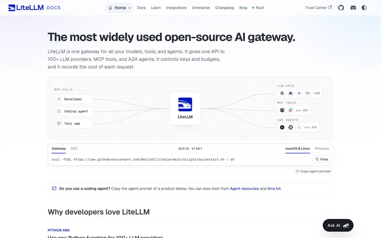 Page d'accueil du site LiteLLM